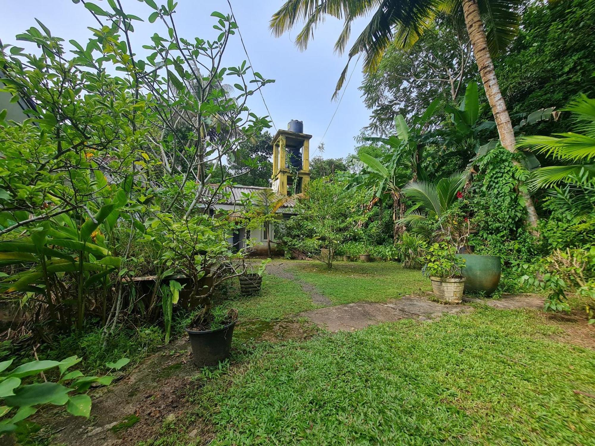 Hill Side Kings Villa Hikkaduwa Luaran gambar
