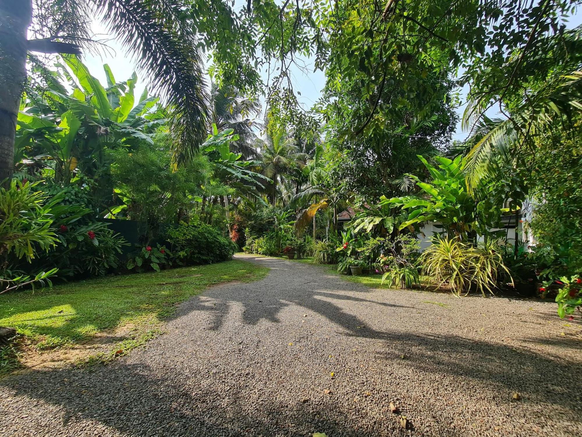 Hill Side Kings Villa Hikkaduwa Luaran gambar