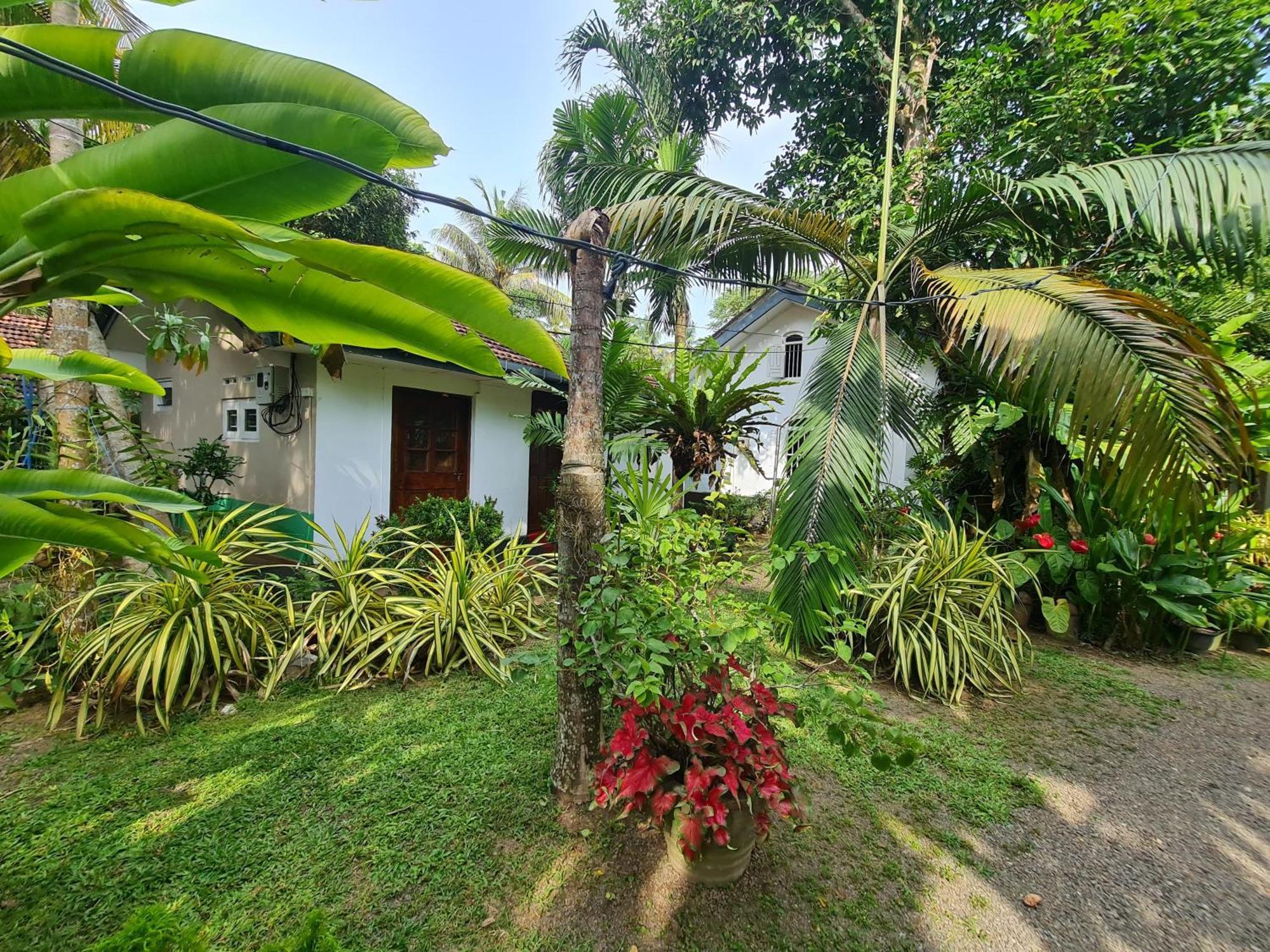 Hill Side Kings Villa Hikkaduwa Luaran gambar