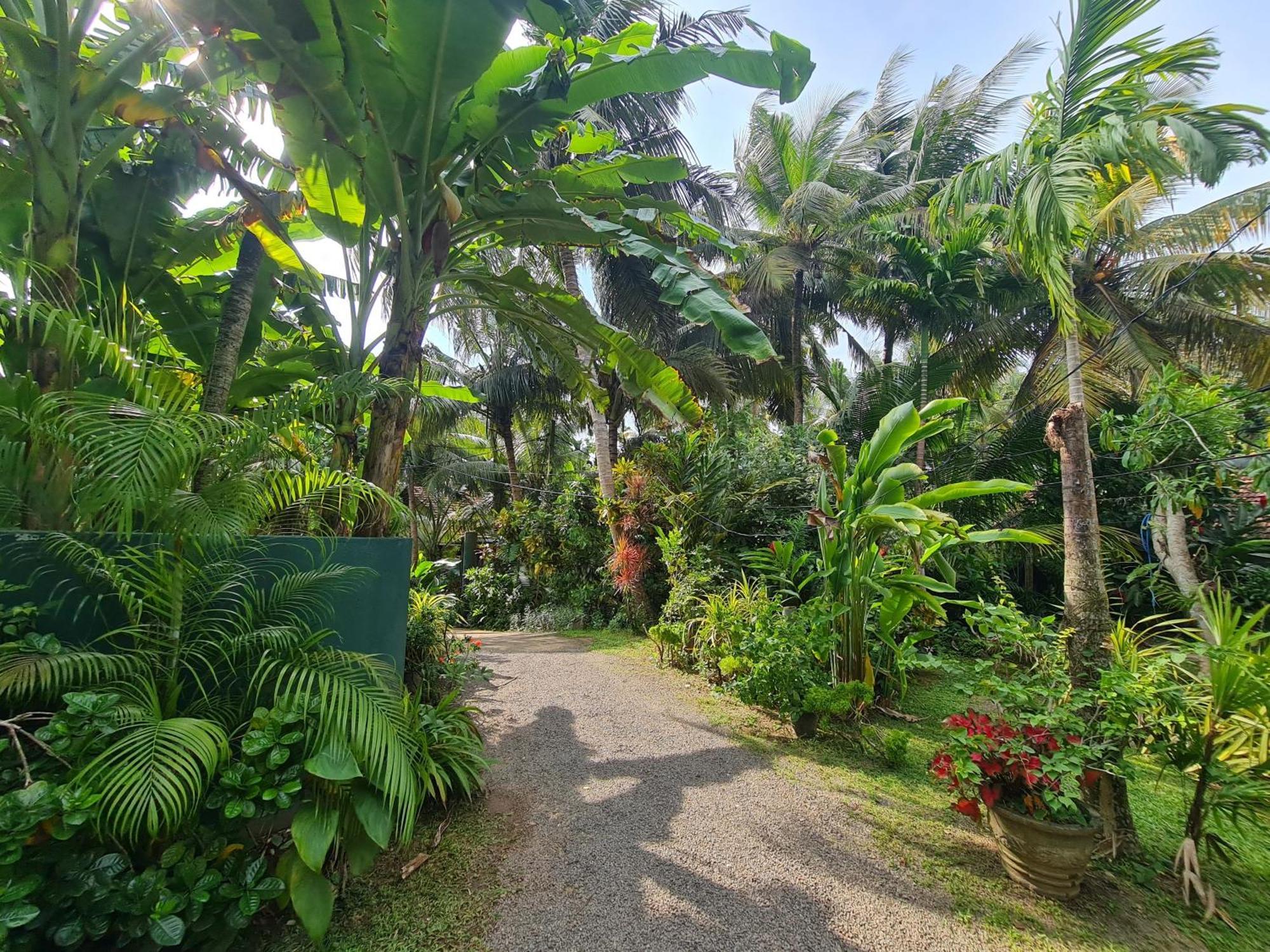 Hill Side Kings Villa Hikkaduwa Luaran gambar