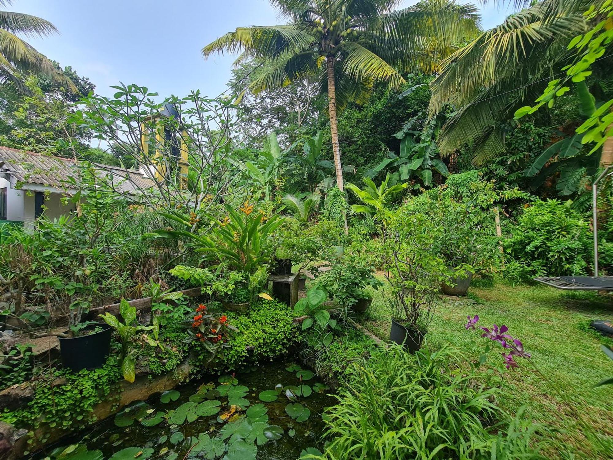 Hill Side Kings Villa Hikkaduwa Luaran gambar